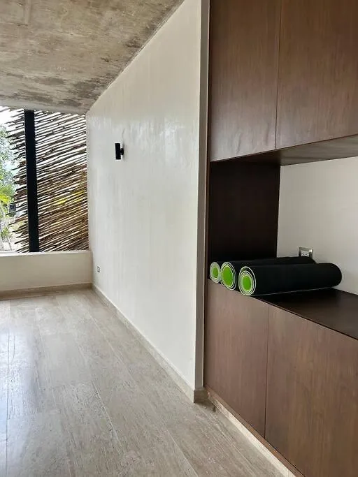New Luxury Ph With Private Terrace & Plunge Pool Apartment Tulum