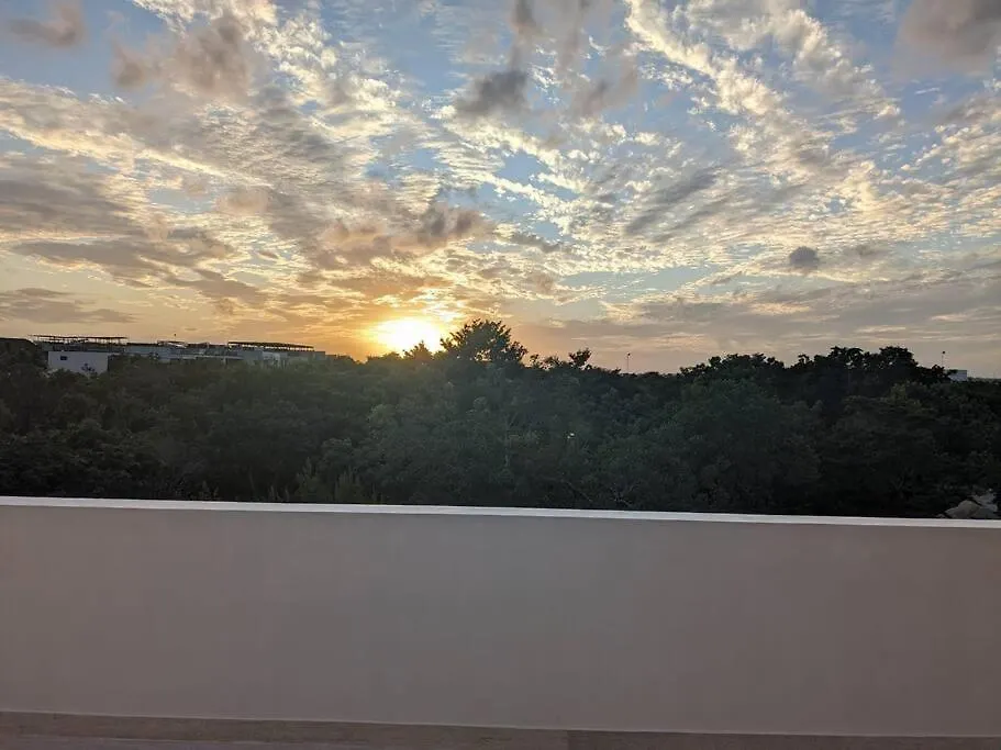 New Luxury Ph With Private Terrace & Plunge Pool Apartment Tulum