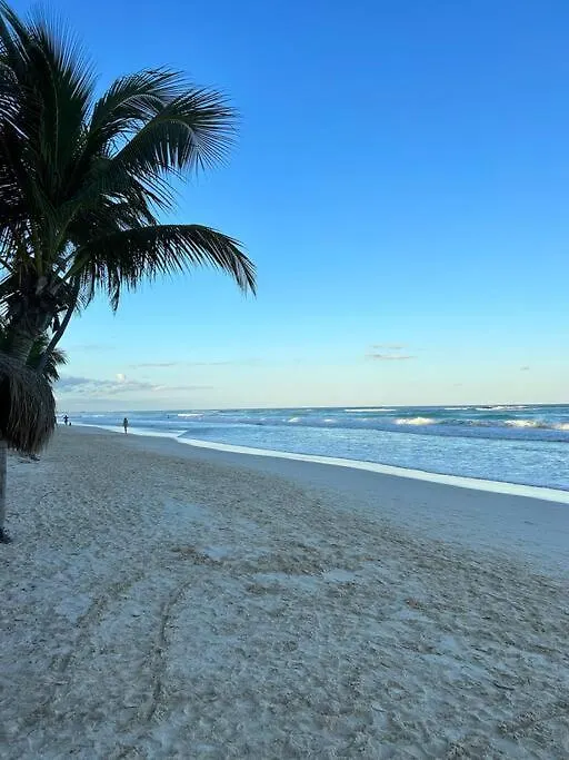 New Luxury Ph With Private Terrace & Plunge Pool Apartment Tulum