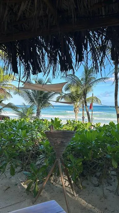 New Luxury Ph With Private Terrace & Plunge Pool Apartment Tulum