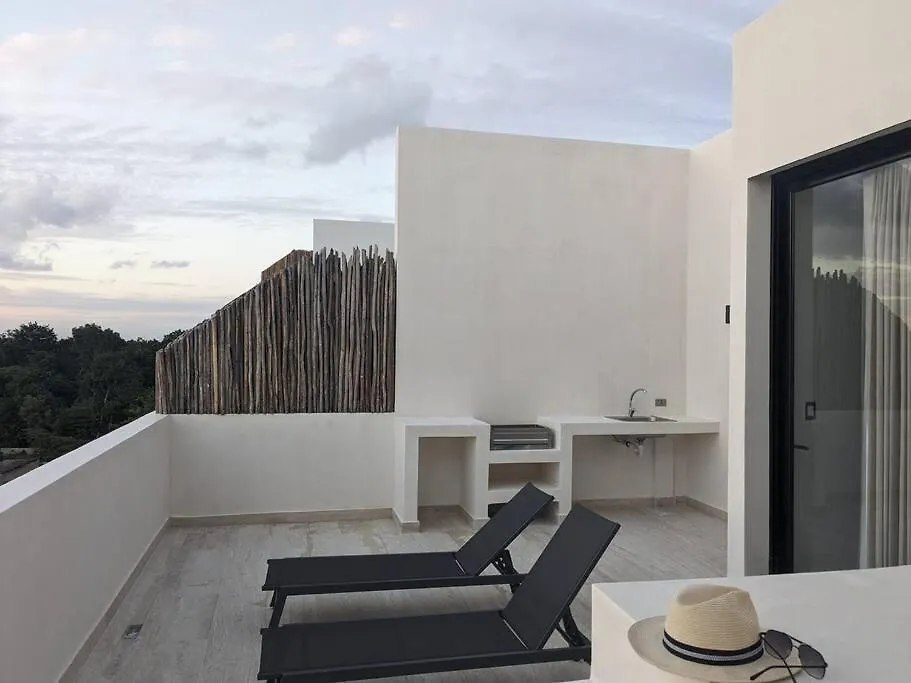 New Luxury Ph With Private Terrace & Plunge Pool Apartment Tulum 0*,