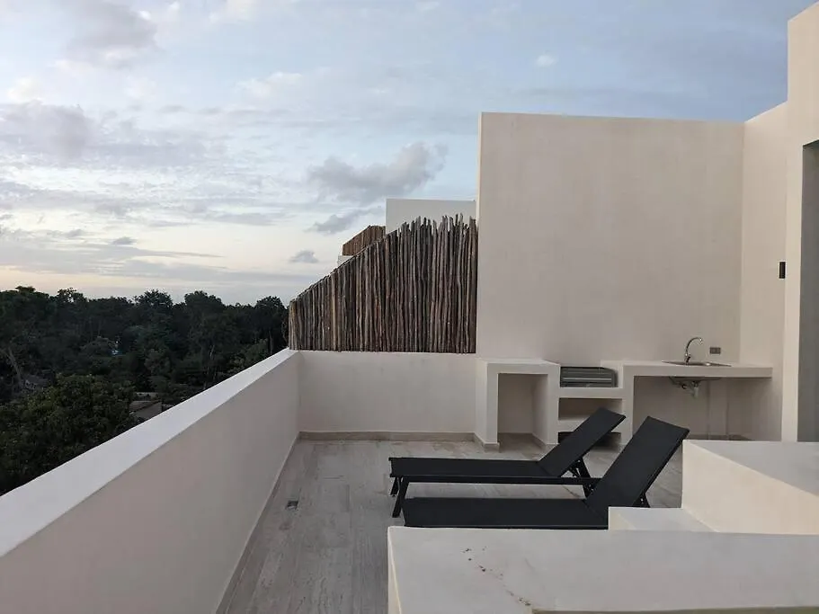 New Luxury Ph With Private Terrace & Plunge Pool Apartment Tulum