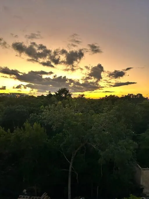New Luxury Ph With Private Terrace & Plunge Pool Apartment Tulum