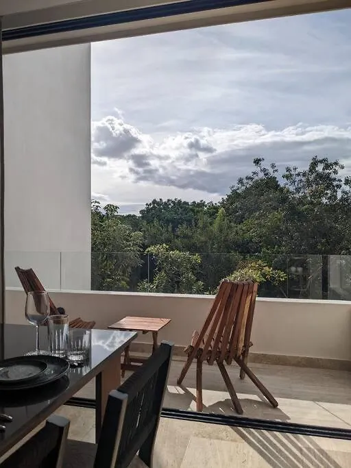 New Luxury Ph With Private Terrace & Plunge Pool Apartment Tulum