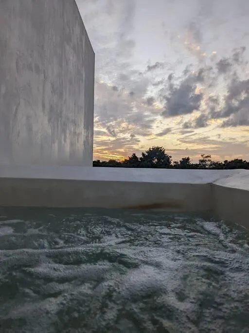 New Luxury Ph With Private Terrace & Plunge Pool Apartment Tulum
